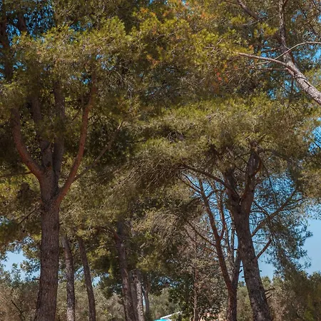 Trullo Tarantini Con Piscina Privata Latiano